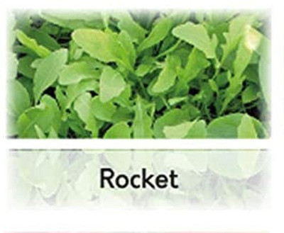 CYBEXIS Hybrid Rocket Wild Mix Seeds2800 Seeds Seed(2800 per packet)