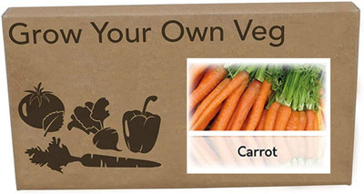 CYBEXIS Heirloom Carrot Nantes Seeds1000 Seeds Seed(1000 per packet)
