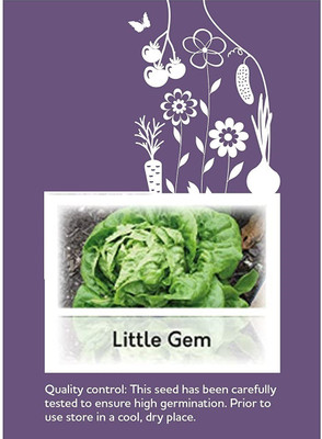 CYBEXIS F1 Hybrid Lettuce Little Gem Seeds1000 Seeds Seed(1000 per packet)