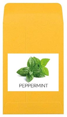 CYBEXIS Heirloom Peppermint Seeds-350 Seeds Seed(350 per packet)