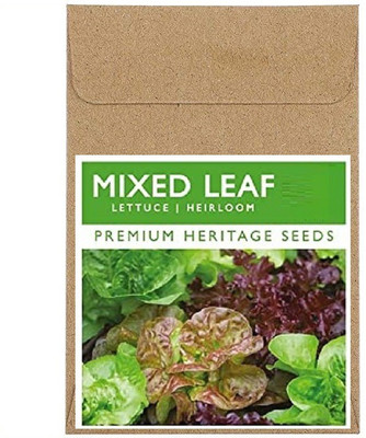 CYBEXIS Fast Germination Mixed Leaf Lettuce Seeds2000 Seeds Seed(2000 per packet)