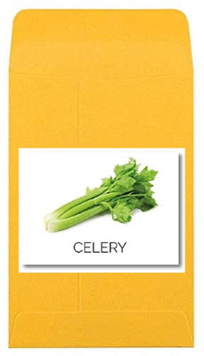 CYBEXIS Heirloom Green Celery Seeds2800 Seeds Seed(2800 per packet)