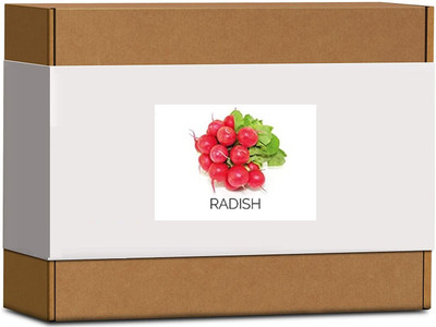 CYBEXIS High Germination Radish Seeds600 Seeds Seed(600 per packet)