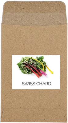CYBEXIS Guarenteed Germination Multicolored Swiss Chard Seeds2000 Seeds Seed(2000 per packet)