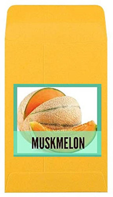 CYBEXIS Guarenteed Germination Muskmelon Seeds400 Seeds Seed(400 per packet)