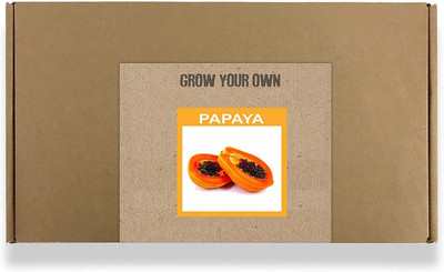 CYBEXIS Fast Germination Papaya Seeds400 Seeds Seed(400 per packet)