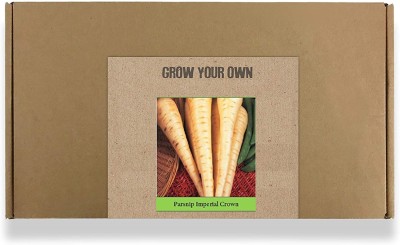 CYBEXIS Fast Germination Parsnip Imperial Crown Seeds500 Seeds Seed(500 per packet)