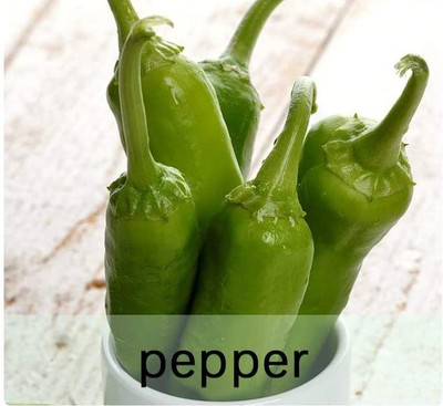 CYBEXIS Heirloom Green Chilli Seeds2400 Seeds Seed(2400 per packet)
