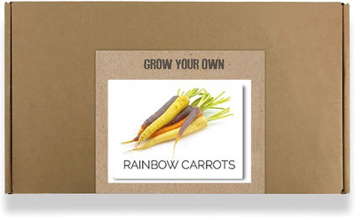 CYBEXIS Fast Germination Multicolored Carrot Seeds4000 Seeds Seed(4000 per packet)