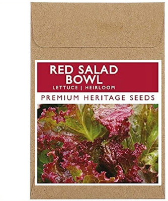 CYBEXIS Fast Germination Red Saled Bowl Lettuce Seeds2000 Seeds Seed(2000 per packet)