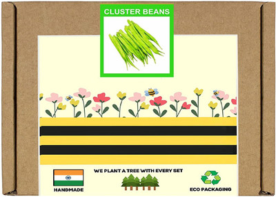 CYBEXIS F1 Hybrid Cluster Beans Seeds400 Seeds Seed(400 per packet)