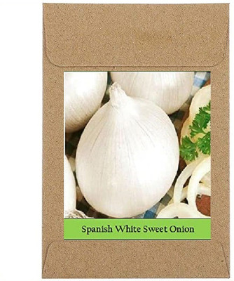 CYBEXIS Guarenteed Germination White Sweet Onion Seeds2000 Seeds Seed(2000 per packet)