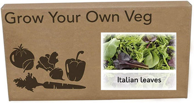 CYBEXIS Heirloom Italian said left mix Seeds2000 Seeds Seed(2000 per packet)