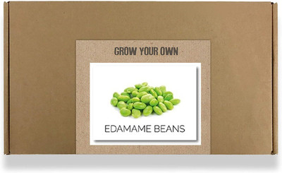CYBEXIS Fast Germination Edamame Beans Seeds200 Seeds Seed(200 per packet)