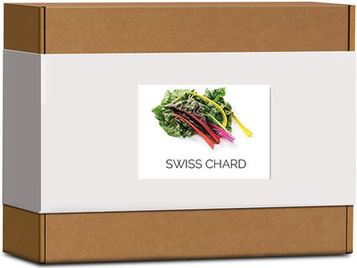 CYBEXIS High Germination Rainbow Swiss Chard Seeds1000 Seeds Seed(1000 per packet)