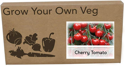 CYBEXIS Heirloom Tomato Cherry Minibel Seeds2000 Seeds Seed(2000 per packet)
