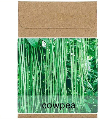 CYBEXIS Guarenteed Germination Cowpea Beans Seeds200 Seeds Seed(200 per packet)