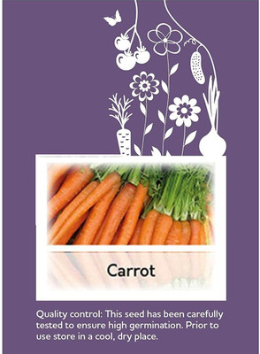 CYBEXIS F1 Hybrid Carrot Nantes Seeds2000 Seeds Seed(2000 per packet)