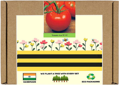 CYBEXIS F1 Hybrid Tomato Ace Seeds2000 Seeds Seed(2000 per packet)