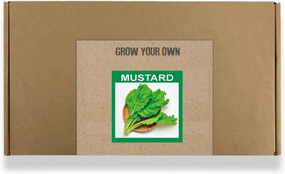 CYBEXIS Fast Germination Mustard Seeds2000 Seeds Seed(2000 per packet)