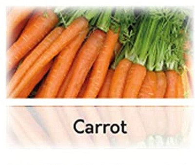 CYBEXIS Hybrid Carrot Nantes Seeds1000 Seeds Seed(1000 per packet)