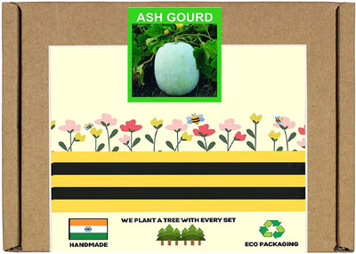 CYBEXIS F1 Hybrid Ash Gourd Seeds-100 Seeds Seed(100 per packet)