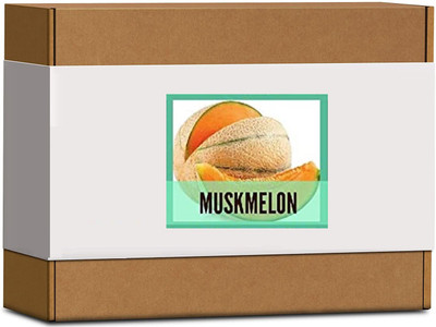 CYBEXIS High Germination Muskmelon Seeds-50 Seeds Seed(50 per packet)