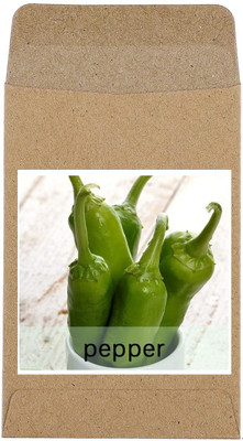 CYBEXIS Hybrid Green Chilli Seeds2400 Seeds Seed(2400 per packet)