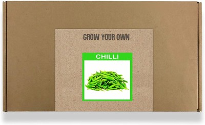 CYBEXIS Fast Germination Green Chilli Seeds2400 Seeds Seed(2400 per packet)