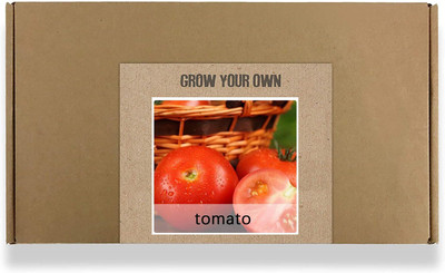 CYBEXIS Fast Germination Cherry Tomato Seeds1000 Seeds Seed(1000 per packet)