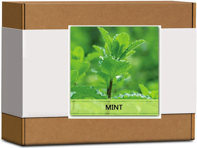 CYBEXIS High Germination Mint Seeds2800 Seeds Seed(2800 per packet)