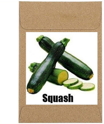 CYBEXIS Guarenteed Germination Black Beauty Zucchini Seeds400 Seeds Seed(400 per packet)