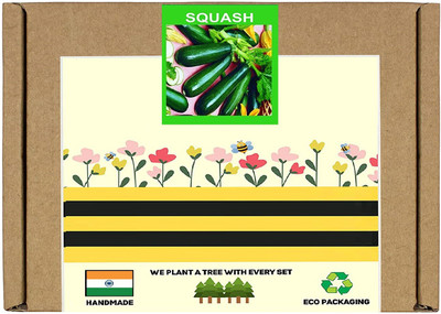 CYBEXIS F1 Hybrid Zucchini/Squash Seeds-50 Seeds Seed(50 per packet)