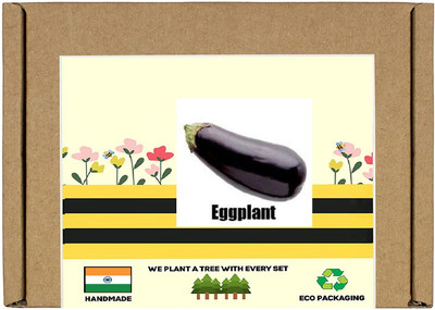 CYBEXIS F1 Hybrid Long Black Brinjal Seeds600 Seeds Seed(600 per packet)