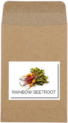 CYBEXIS Guarenteed Germination Multicolored Rainbow Beetroot Seeds1000 Seeds Seed(1000 per packet)