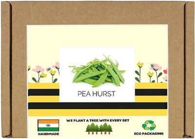 CYBEXIS Peas Seed(800 per packet)