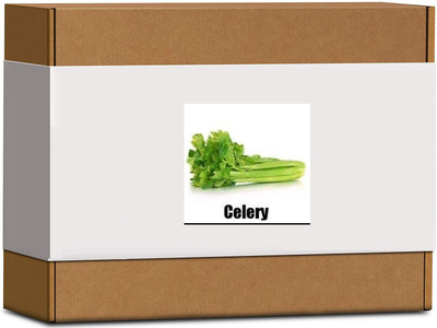 CYBEXIS High Germination Celery Seeds1400 Seeds Seed(1400 per packet)