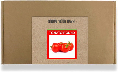 CYBEXIS Fast Germination Tomato Round Seeds2000 Seeds Seed(2000 per packet)