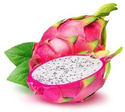PLANTZON Dragon Fruit Seed(10 per packet)