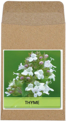 CYBEXIS Hybrid Thyme Seeds-100 Seeds Seed(100 per packet)