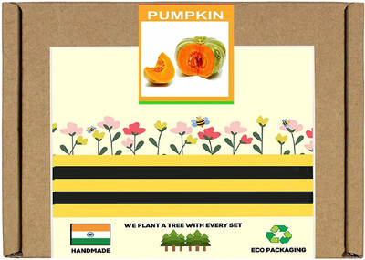 CYBEXIS Pumpkin Seed(50 per packet)
