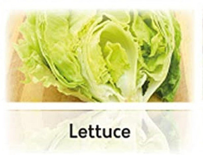 CYBEXIS Hybrid Lettuce Iceberg Seeds1000 Seeds Seed(1000 per packet)