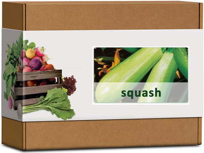 CYBEXIS High Germination Squash/Zucchini Seeds400 Seeds Seed(400 per packet)