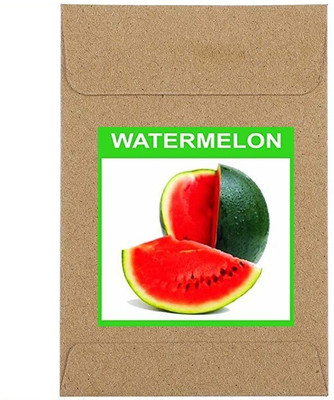 CYBEXIS Guarenteed Germination Water Melon Seeds100 Seeds Seed(100 per packet)
