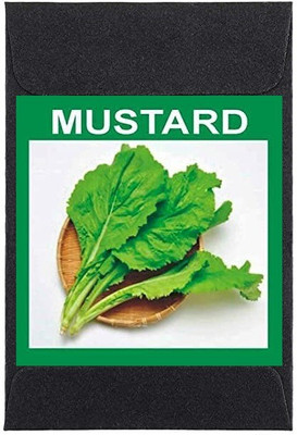 CYBEXIS Heirloom Japanese Mizuna Mustard Seeds2000 Seeds Seed(2000 per packet)