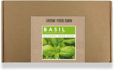 CYBEXIS Fast Germination Basil Seeds2000 Seeds Seed(2000 per packet)