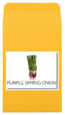 CYBEXIS Heirloom Purple Spring Onion Seeds2000 Seeds Seed(2000 per packet)