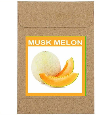 CYBEXIS Guarenteed Germination Musk Melon Seeds400 Seeds Seed(400 per packet)
