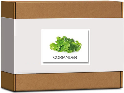 CYBEXIS High Germination Coriander Seeds2800 Seeds Seed(2800 per packet)