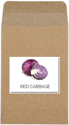 CYBEXIS Guarenteed Germination Red Cabbage Seeds2000 Seeds Seed(2000 per packet)